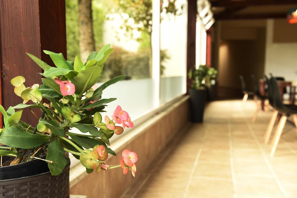 Hotel Carlos 96 Melide Ngoại thất bức ảnh
